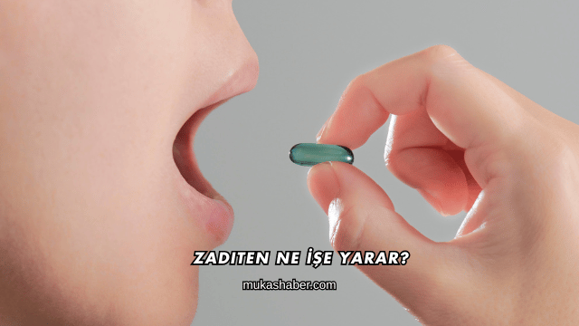 Zaditen Ne İşe Yarar?