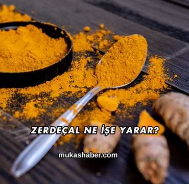 Zerdeçal Ne İşe Yarar?