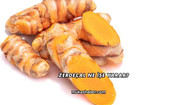 Zerdeçal Ne İşe Yarar?