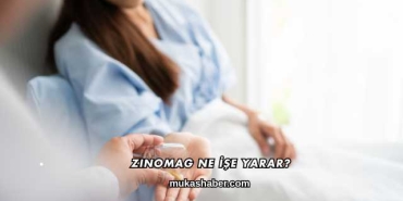 Zinomag Ne İşe Yarar?