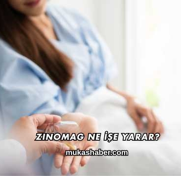 Zinomag Ne İşe Yarar?