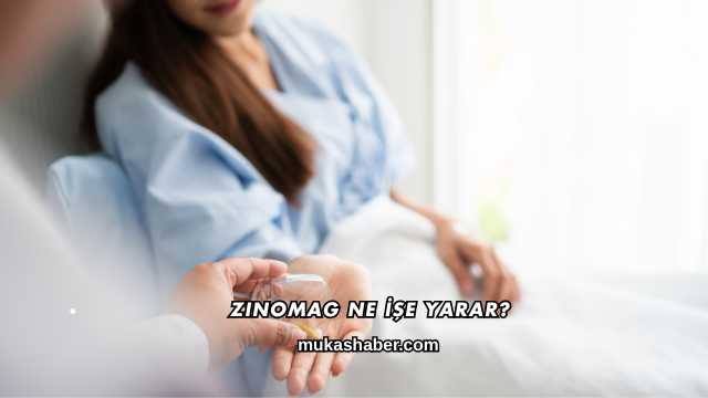 Zinomag Ne İşe Yarar?