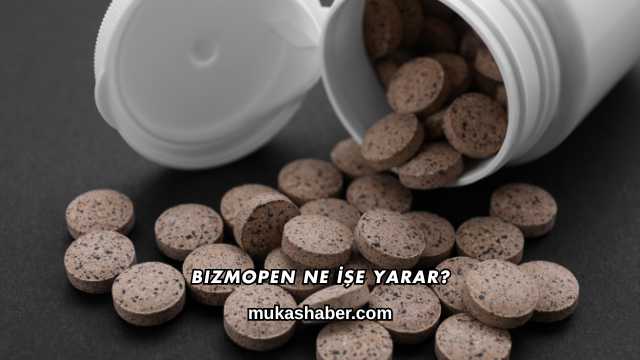 Bizmopen Ne İşe Yarar?