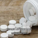 Ectopix Ne İşe Yarar?