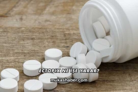 Ectopix Ne İşe Yarar?