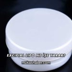 Excipial Lipo Ne İşe Yarar