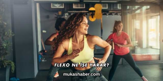 Flexo Ne İşe Yarar?