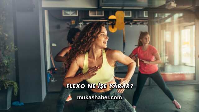 Flexo Ne İşe Yarar?