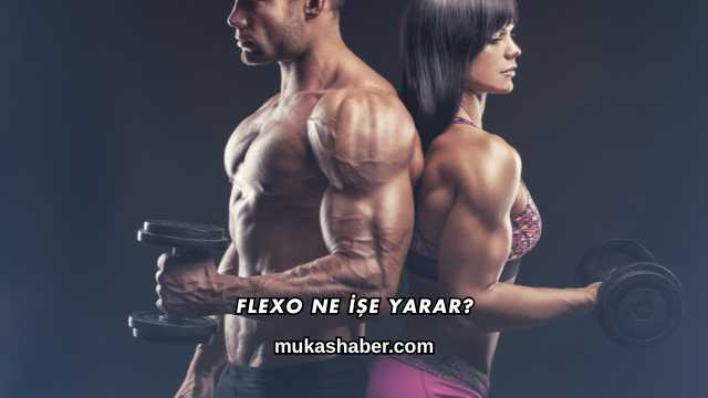 Flexo Ne İşe Yarar?