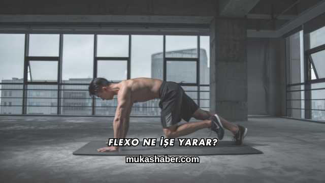 Flexo Ne İşe Yarar?