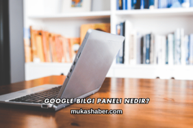 Google Bilgi Paneli Nedir?