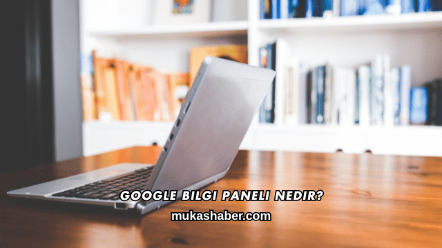 Google Bilgi Paneli Nedir?