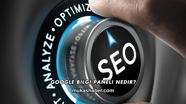Google Bilgi Paneli Nedir?