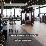 Lordes Ne İşe Yarar?