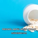 Prednol Ampul Ne İşe Yarar?