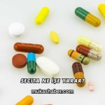 Secita Ne İşe Yarar?