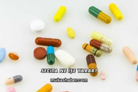 Secita Ne İşe Yarar?