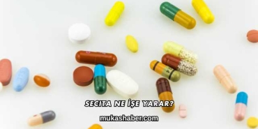 Secita Ne İşe Yarar?