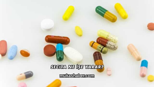 Secita Ne İşe Yarar?