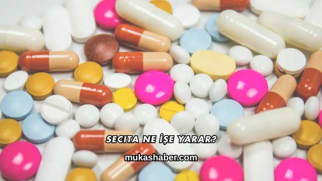 Secita Ne İşe Yarar?