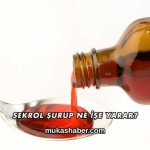 Sekrol Şurup Ne İşe Yarar?