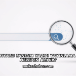Uygun Fiyatlı Tanıtım Yazısı Yayınlama Hizmeti Nereden Alınır?