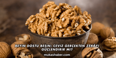 Beyin Dostu Besin: Ceviz Gerçekten Zekâyı Güçlendirir mi?