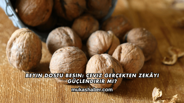 Beyin Dostu Besin: Ceviz Gerçekten Zekâyı Güçlendirir mi?