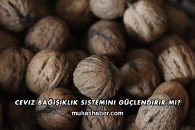 Ceviz Bağışıklık Sistemini Güçlendirir mi?