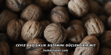 Ceviz Bağışıklık Sistemini Güçlendirir mi?