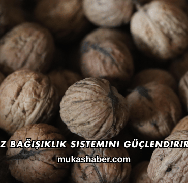 Ceviz Bağışıklık Sistemini Güçlendirir mi?