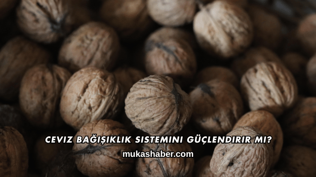 Ceviz Bağışıklık Sistemini Güçlendirir mi?