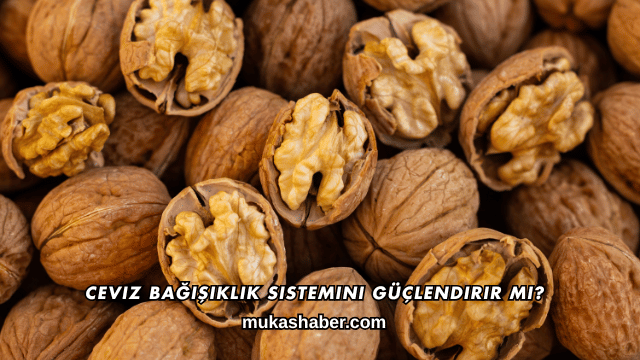 Ceviz Bağışıklık Sistemini Güçlendirir mi?