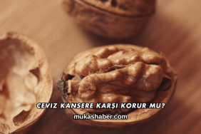 Ceviz Kansere Karşı Korur mu?