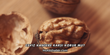 Ceviz Kansere Karşı Korur mu?