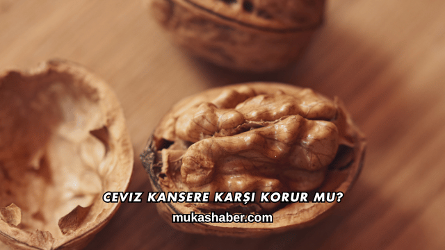 Ceviz Kansere Karşı Korur mu?