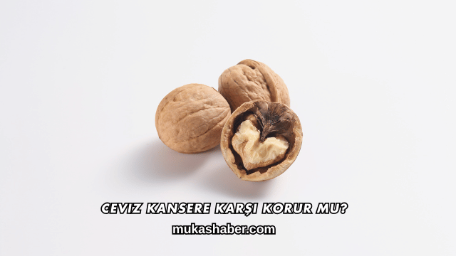 Ceviz Kansere Karşı Korur mu?