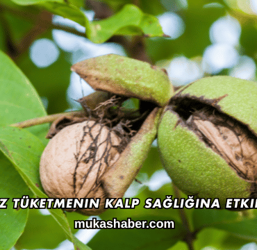 Ceviz Tüketmenin Kalp Sağlığına Etkileri