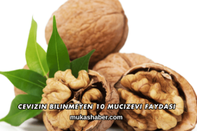 Cevizin Bilinmeyen 10 Mucizevi Faydası