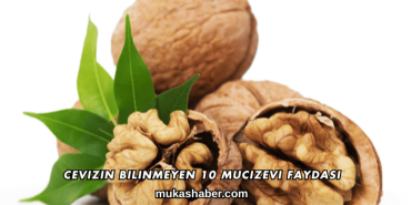Cevizin Bilinmeyen 10 Mucizevi Faydası