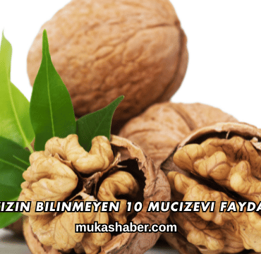 Cevizin Bilinmeyen 10 Mucizevi Faydası