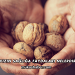 Cevizin Sağlığa Faydaları Nelerdir?