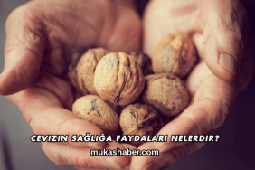 Cevizin Sağlığa Faydaları Nelerdir?
