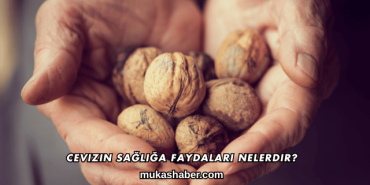 Cevizin Sağlığa Faydaları Nelerdir?