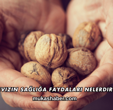 Cevizin Sağlığa Faydaları Nelerdir?
