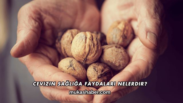 Cevizin Sağlığa Faydaları Nelerdir?