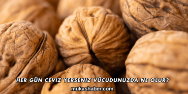 Her Gün Ceviz Yerseniz Vücudunuzda Ne Olur?