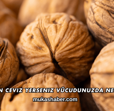 Her Gün Ceviz Yerseniz Vücudunuzda Ne Olur?